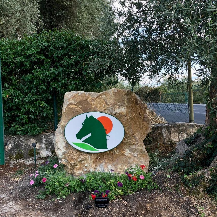 Agriturismo Poggio Del Drago Montemerano Εξωτερικό φωτογραφία