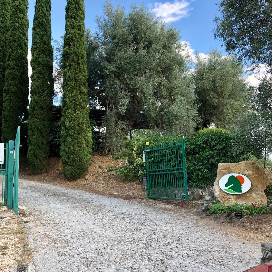 Agriturismo Poggio Del Drago Montemerano Εξωτερικό φωτογραφία
