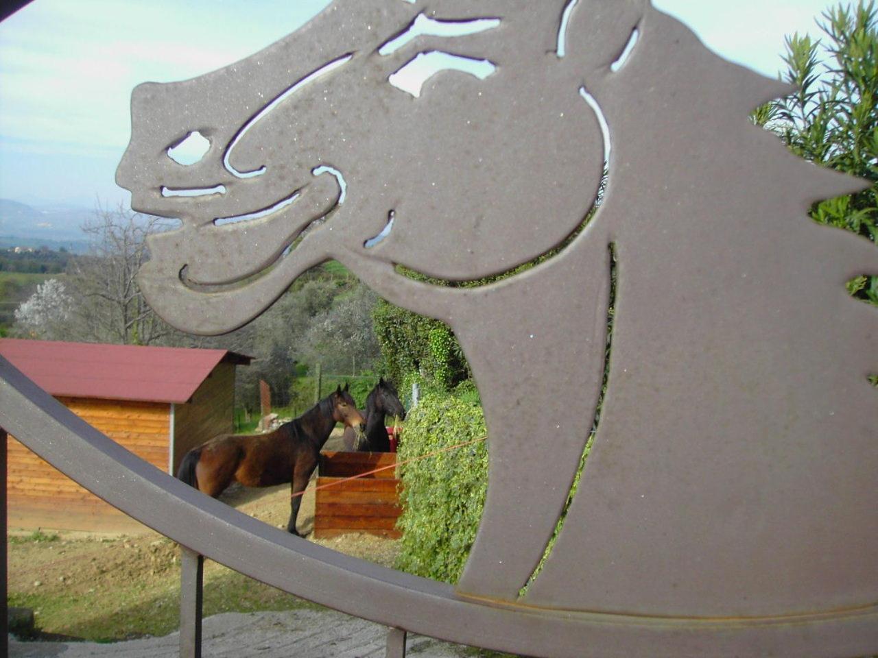 Agriturismo Poggio Del Drago Montemerano Εξωτερικό φωτογραφία