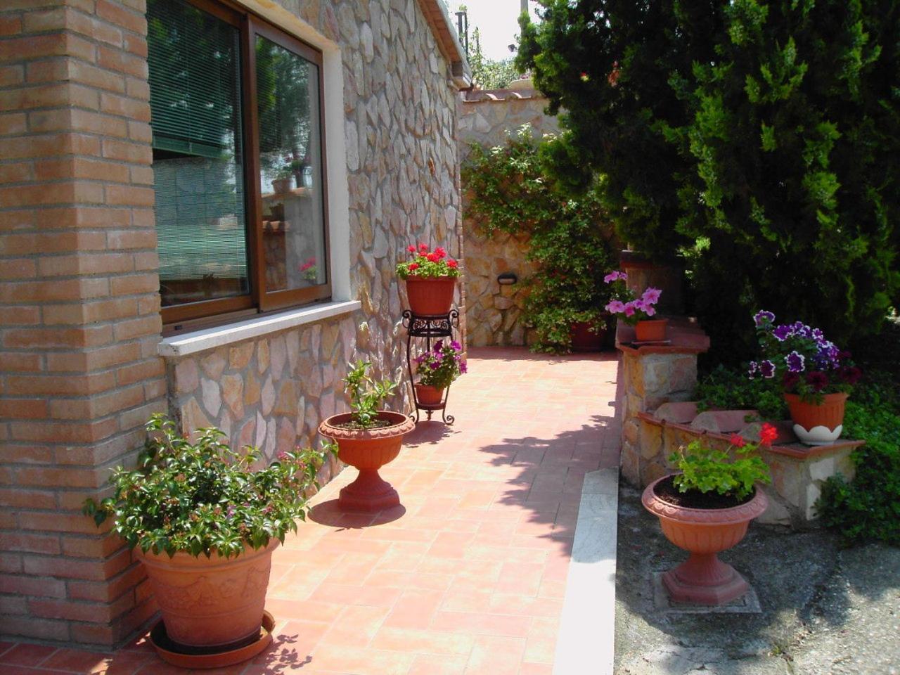 Agriturismo Poggio Del Drago Montemerano Εξωτερικό φωτογραφία