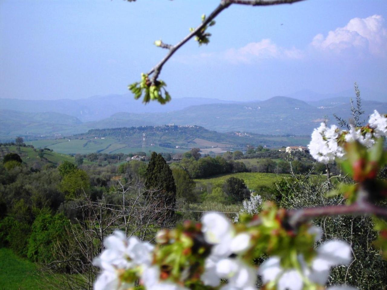 Agriturismo Poggio Del Drago Montemerano Εξωτερικό φωτογραφία