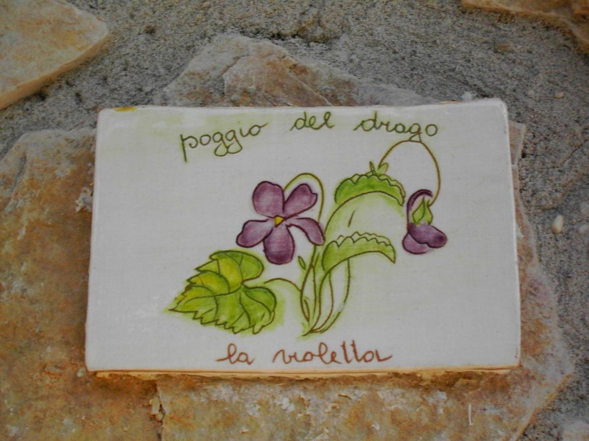 Agriturismo Poggio Del Drago Montemerano Δωμάτιο φωτογραφία
